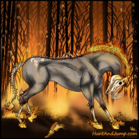 Horse Color:Silver Grullo Roan Appaloosa 