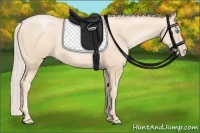 Horse Color:Gold Cream Champagne Pearl 