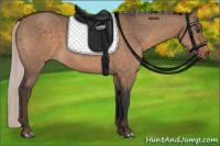 Horse Color:Brown Dun  and Silver Brown Dun 