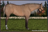 Horse Color:Brown Dun  and Silver Brown Dun 