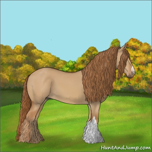 Horse Color:Red Dun 