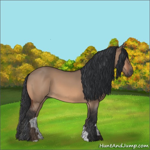 Horse Color:Bay Dun 