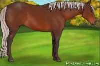 Horse Color:Silver Brown 