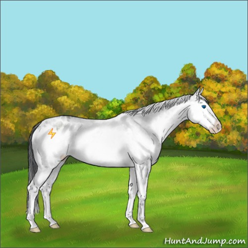 Horse Color:White Spotted Grullo Ice Sabino Splash 
