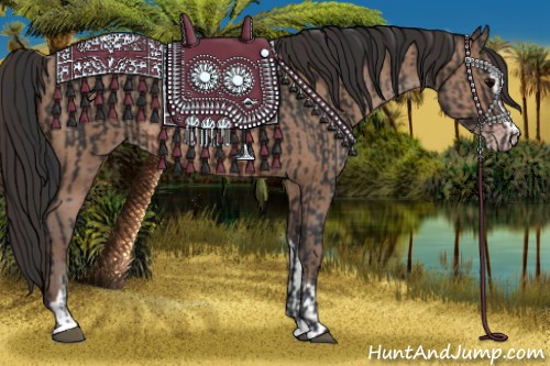 Horse Color:Brown Sabino Rabicano and Sable Champagne Sabino Rabicano