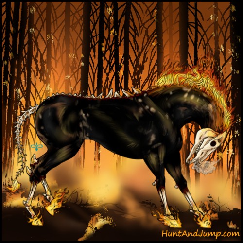 Horse Color:Void White Spotted Buckskin Dun Splash Appaloosa 