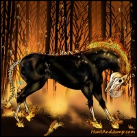 Horse Color:Void White Spotted Buckskin Dun Splash Near Leopard 
