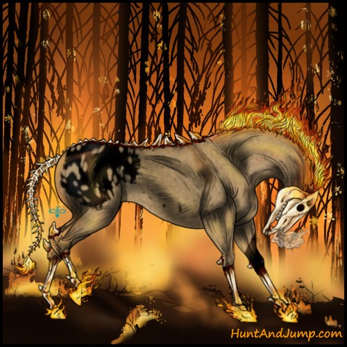 Horse Color:Void Palomino Roan Dun Sabino Appaloosa 