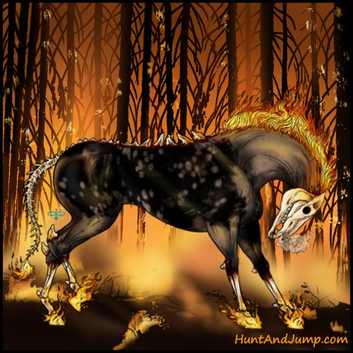 Horse Color:Void White Spotted Bay Roan Dun Splash Appaloosa 