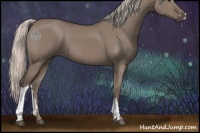 Horse Color:Silver Grullo