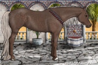 Horse Color:Silver Black 