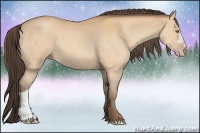 Horse Color:Amber Champagne 