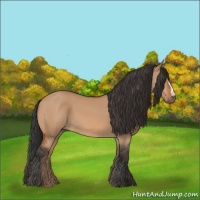 Horse Color:Bay Dun