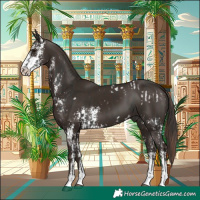 Horse Color:White Spotted Liver Chestnut and Liver Chestnut Sabino