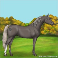 Horse Color:Silver Black 