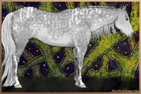 Horse Color:Silver Black Chinchilla Tobiano  and Silver Grullo Chinchilla 