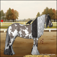 Horse Color:White Spotted Smoky Grullo