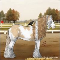 Horse Color:White Spotted Red Dun Splash 