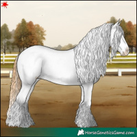 Horse Color:White Spotted Classic Cream Champagne Dun Appaloosa 