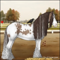 Horse Color:White Spotted Classic Champagne Splash Appaloosa 
