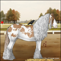 Horse Color:White Spotted Chestnut Splash Rabicano