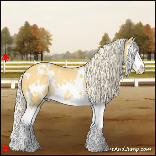 Horse Color:White Spotted Palomino Splash Rabicano 