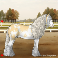 Horse Color:White Spotted Palomino Splash Rabicano