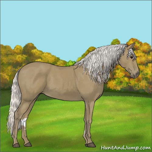 Horse Color:Silver Smoky Black