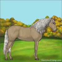 Horse Color:Silver Smoky Black 