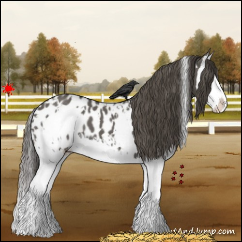 Horse Color:White Spotted Grullo Splash Blanket