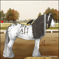 Horse Color:White Spotted Grullo Splash Blanket 