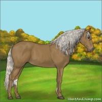 Horse Color:Silver Smoky Black 