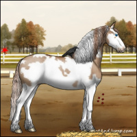 Horse Color:White Spotted Red Dun Splash Frame Rabicano