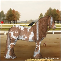 Horse Color:White Spotted Chestnut Rabicano 