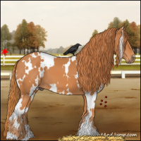 Horse Color:White Spotted Chestnut 