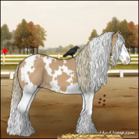 Horse Color:White Spotted Red Dun Splash 