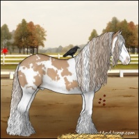 Horse Color:White Spotted Red Dun Splash 