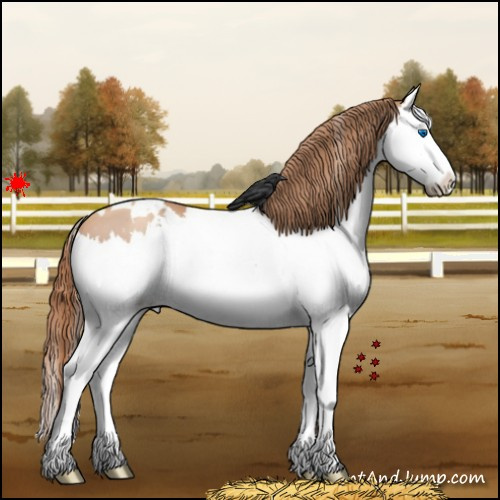 Horse Color:White Spotted Gold Champagne Splash Varnish
