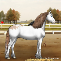 Horse Color:White Spotted Gold Champagne Splash Varnish