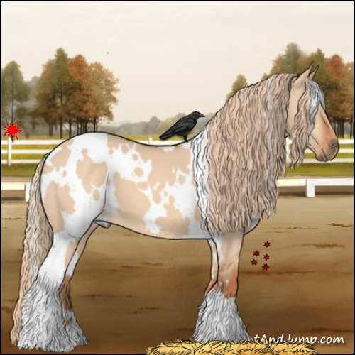 Horse Color:White Spotted Red Dun 