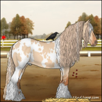 Horse Color:White Spotted Red Dun 