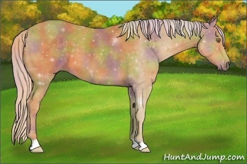 Horse Color:Nacre Palomino 