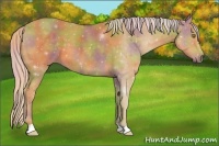 Horse Color:Nacre Palomino 