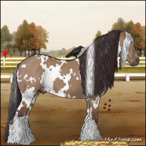 Horse Color:White Spotted Bay Dun 