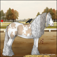 Horse Color:White Spotted Silver Brown Dun Splash 