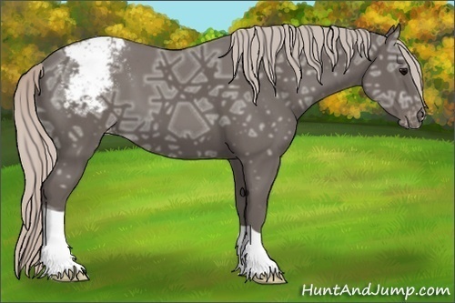 Horse Color:Silver Black Ice Varnish 