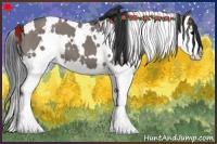 Horse Color:White Spotted Grullo Splash 