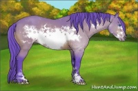 Horse Color:Watercolor Buckskin Sabino Frame 