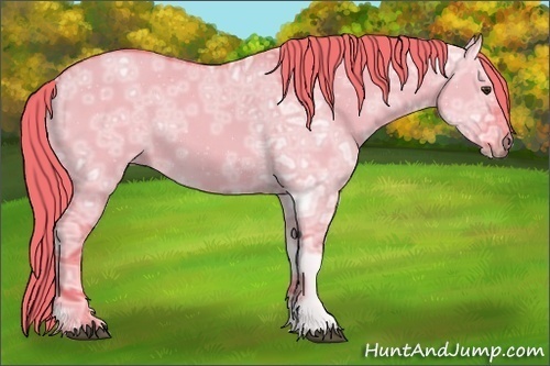 Horse Color:Watercolor Liver Red Dun Ice