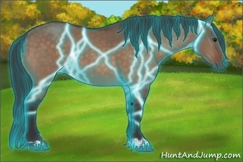 Horse Color:Thunderstruck Brown Dun 